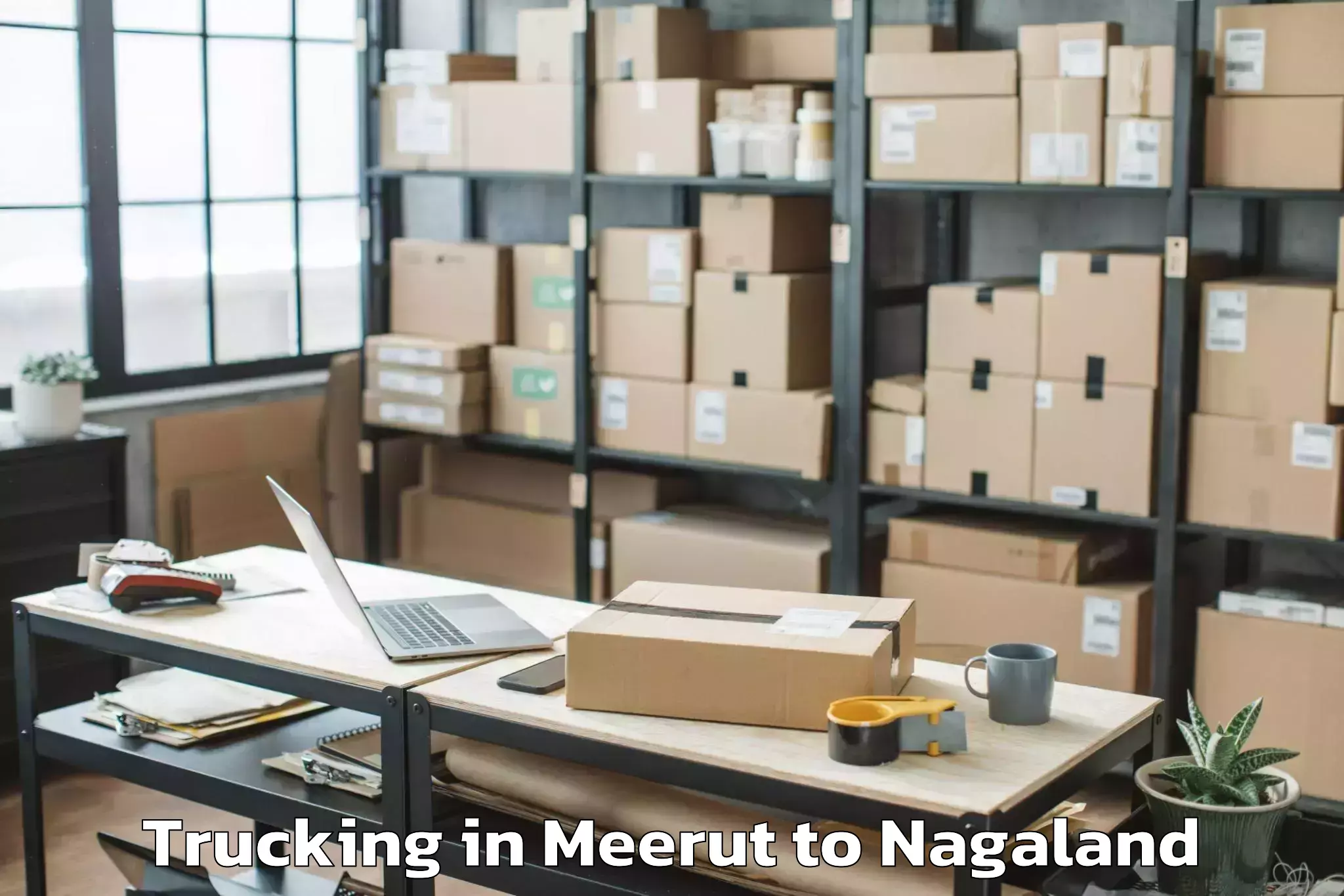 Hassle-Free Meerut to Naginimora Trucking